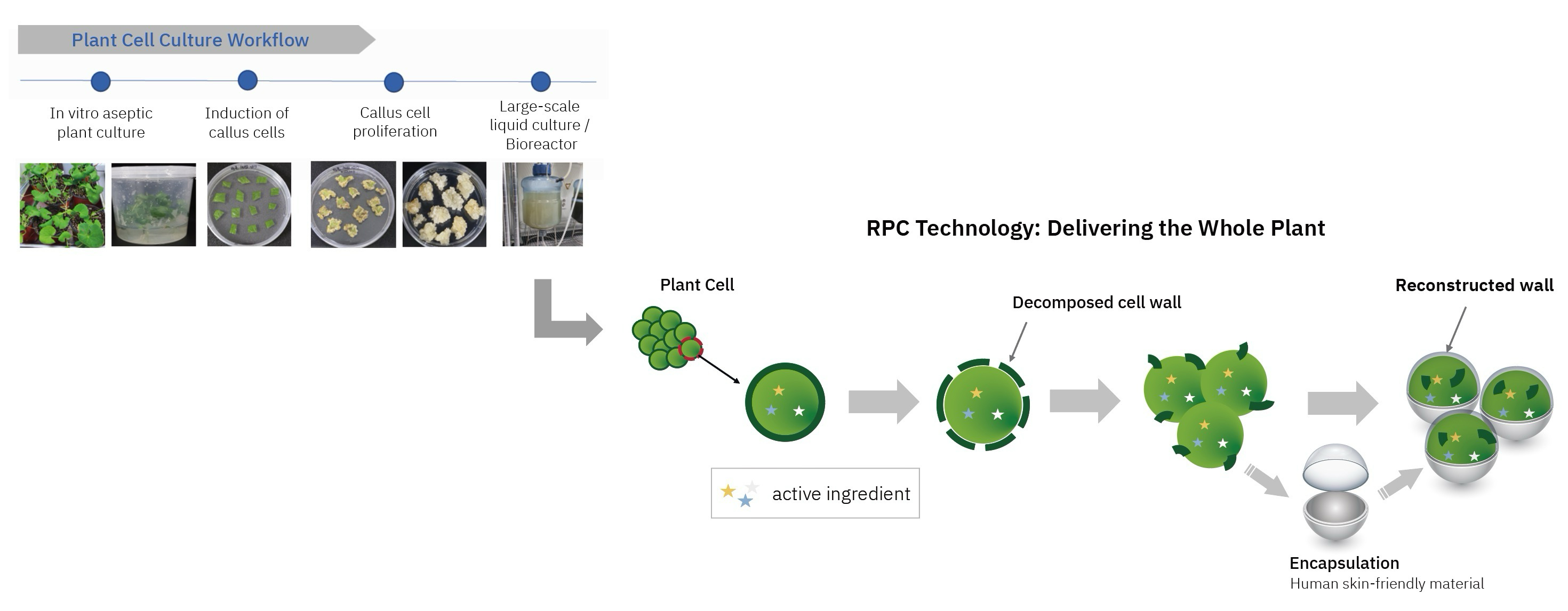 RPC Technology Image